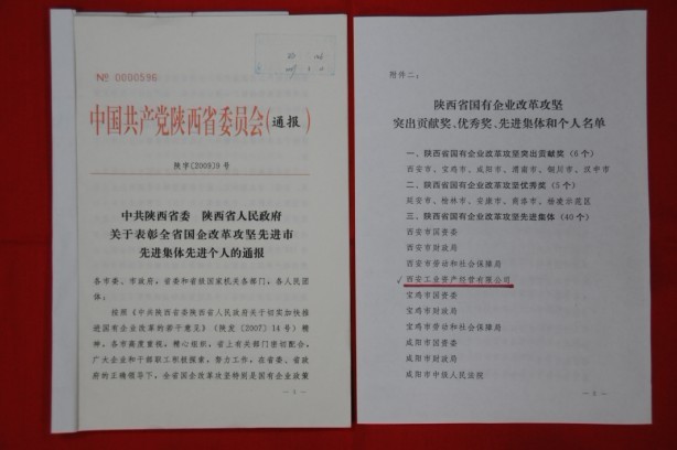 2009年2月，被陜西省委、省政府授予陜西省國有企業(yè)改革攻堅(jiān)先進(jìn)集體